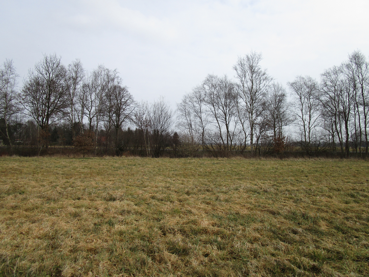 Baugrundstück mit angrenzender Weide in Lilienthal Worphausen